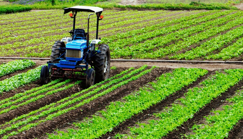 Exploring Various Ploughing Methods for Better Crop Yield