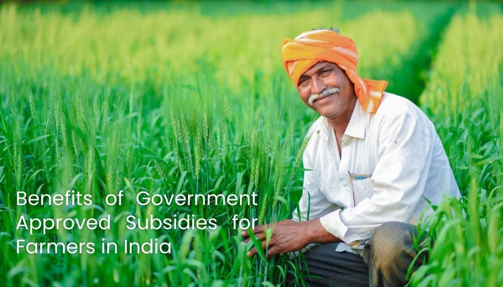 How Government Subsidies Empower Indian Farmers: Key Benefits & Usage